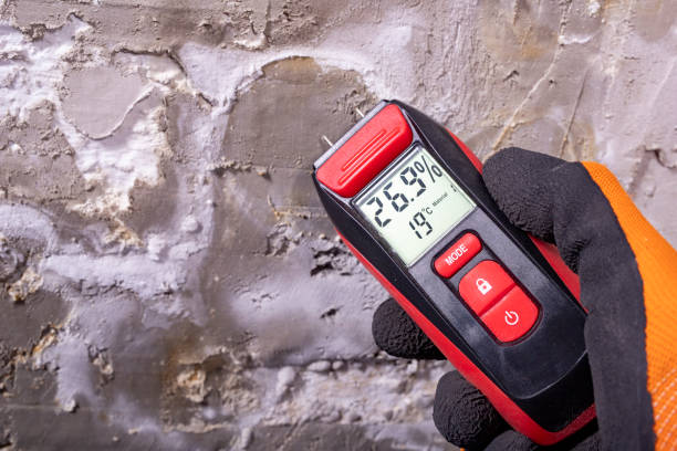 Best Office Mold Removal Services  in Nicholasville, KY